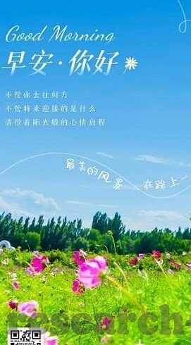世界杯2017足球比分-世界杯2017足球比分，激情与荣耀的碰撞