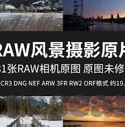 水果机转转转金币-水果机转转转金币，欢乐与机遇的交响曲