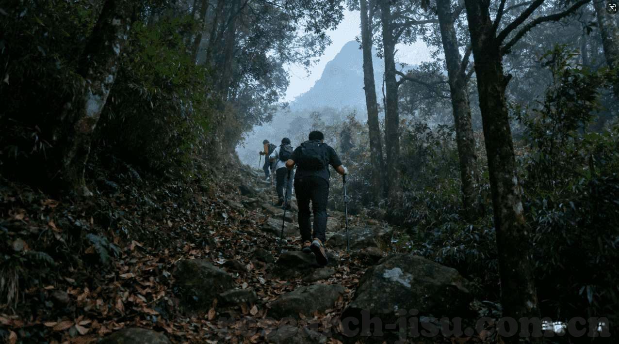下载bg娱乐真人百家乐-下载bg娱乐真人百家乐，一场虚拟与现实交织的娱乐盛宴