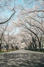 足球比分直播旧版-足球比分直播旧版，一段数字时代的绿茵记忆